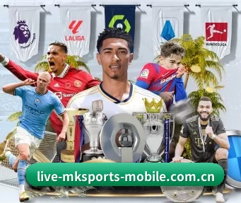 mk体育 APP