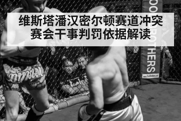维斯塔潘汉密尔顿赛道冲突 赛会干事判罚依据解读